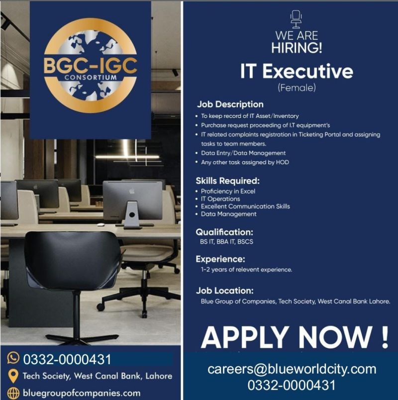 IT Executive – Blue Group of Company