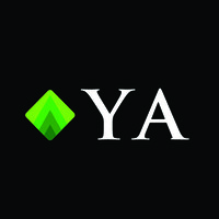 Director (Audit & Assurance) at Yousuf Adil Islamabad